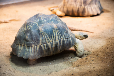 Similar image 5528030