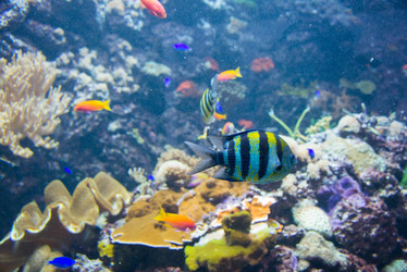 Similar image 5528033