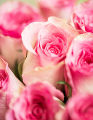 Similar image 5528115