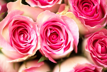 Similar image 5528116