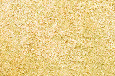 Similar image 5528148