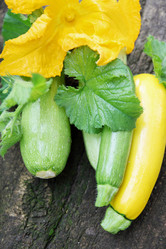 Similar image 5528491