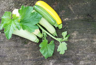 Similar image 5528492