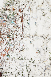 Similar image 5528494