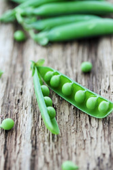 Similar image 5528500