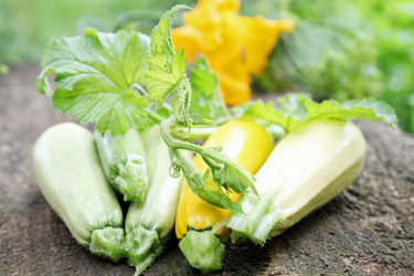 Similar image 5528503