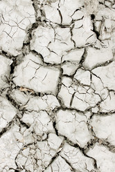 Similar image 5528504