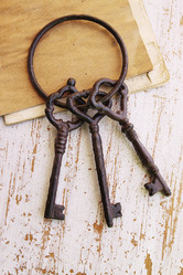 Similar image 5528513