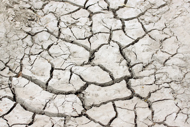 Similar image 5528515