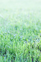 Similar image 5528516