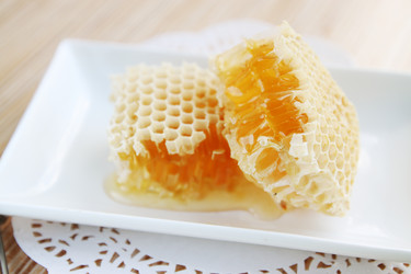 Similar image 5528520