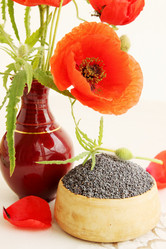 Similar image 5528539