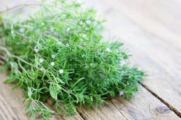 Similar image 5528595