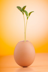 Similar image 5528710