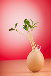 Similar image 5528714