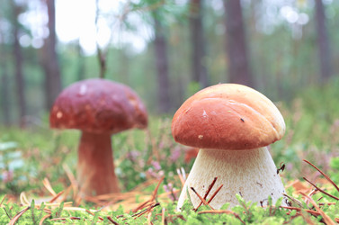 Similar image 5529103