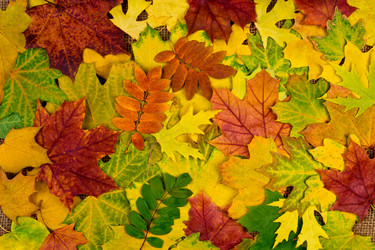 Similar image 5529115