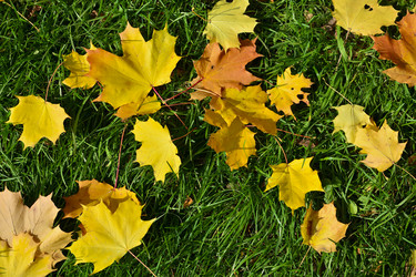 Similar image 5529122