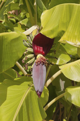 Similar image 5529140