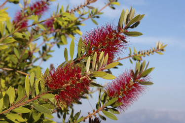 Similar image 5529141