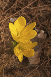 Similar image 5529142