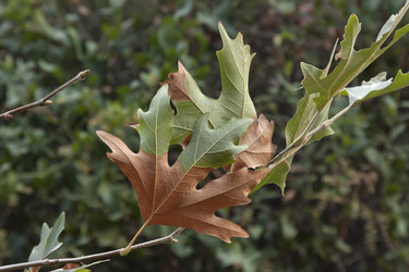 Similar image 5529143