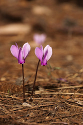 Similar image 5529144