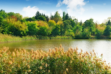 Similar image 5529187