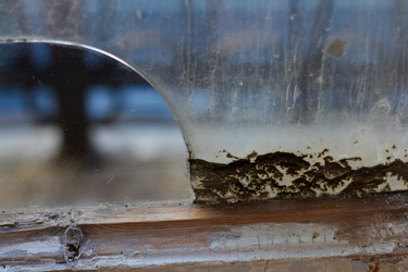 Similar image 5529194