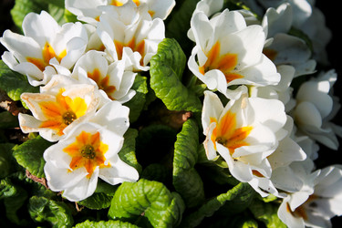 Similar image 5529204