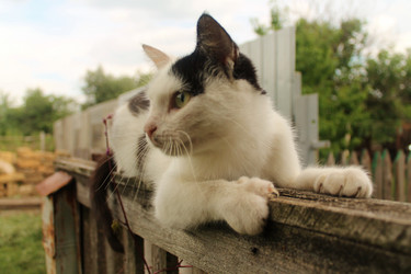 Similar image 5529205