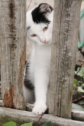 Similar image 5529206