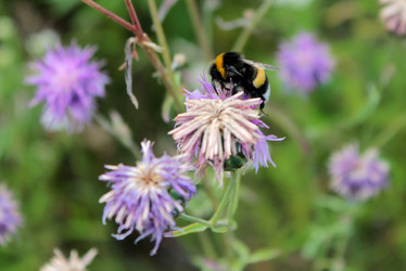 Similar image 5529207