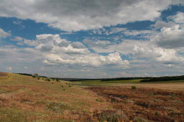 Similar image 5529208