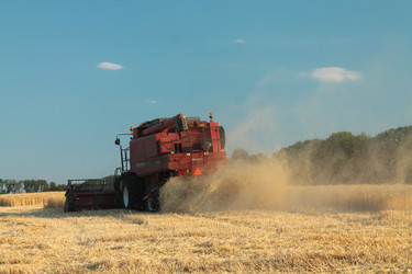 Similar image 5529212