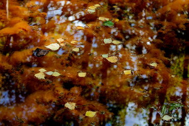 Similar image 5529214