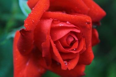 Similar image 5529216