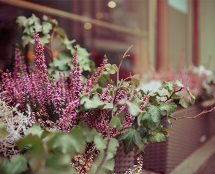 Similar image 5529217