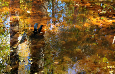 Similar image 5529218