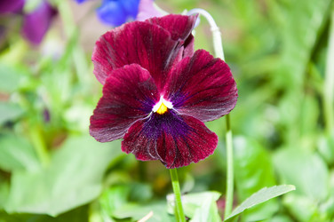 Similar image 5529303