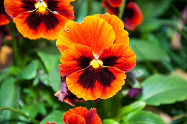 Similar image 5529310