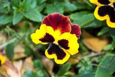 Similar image 5529320