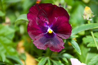 Similar image 5529321