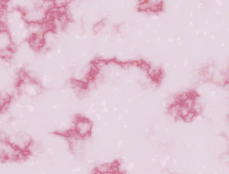 Similar image 5529381