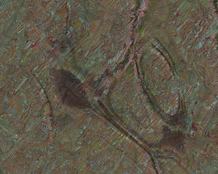 Similar image 5529459