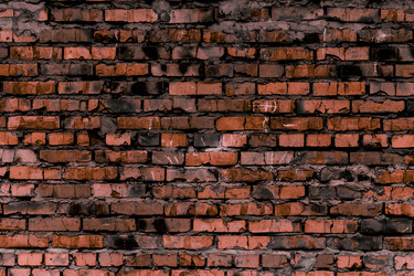 Similar image 5529613