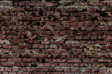 Similar image 5529616