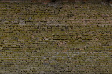 Similar image 5529632