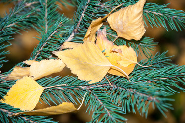 Similar image 5529633