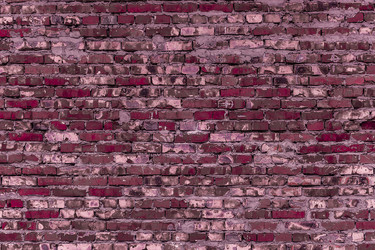 Similar image 5529640